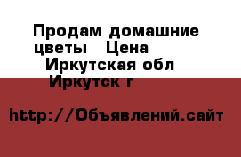 Продам домашние цветы › Цена ­ 500 - Иркутская обл., Иркутск г.  »    